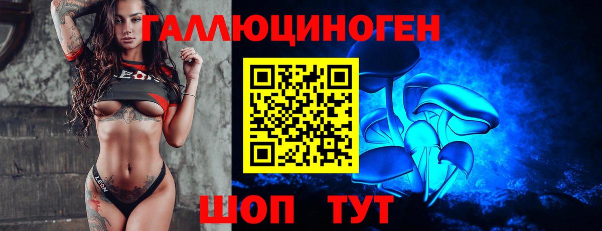 Псилоцибиновые грибы MAGIC MUSHROOMS  Псилоцибиновые грибы прущие грибы  Дзержинск  Вход с VPN 